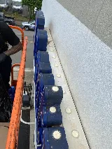 Sandwich Isle Pest Solutions photo 4