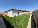 Cole Landscaping & Pools photo 4