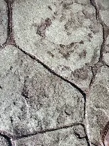 Englert Custom Concrete