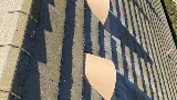 Birch Roofing Company
