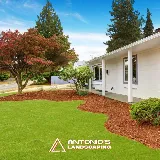 Antonio's Landscaping Llc photo 3