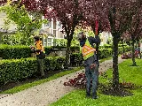 Para Space Landscaping Inc photo 6