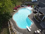 Top Dog Pool Coatings photo 3