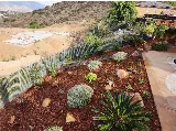 Kniffing's Landscape + Maintenance photo 2