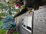 Ace Painting Solutions photo 8