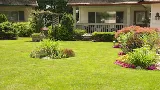 Empire Lawn Care