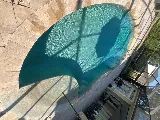 Clear Blue Pool Services photo 8