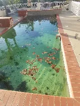 Don's Pool & Spa Supplies photo 2