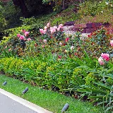 Plant Persuasion photo 7