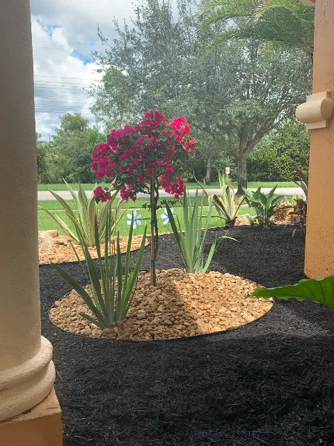 Five Star Landscaping photo 1