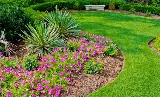 Leprechaun Landscaping Of Coral Springs photo 8