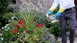 Hawx Pest Control photo 7