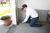 Insight Pest Solutions photo 7