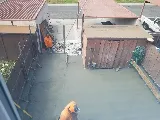 Herrera Brothers Concrete Inc