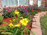 Elite Outdoor Landscaping photo 8