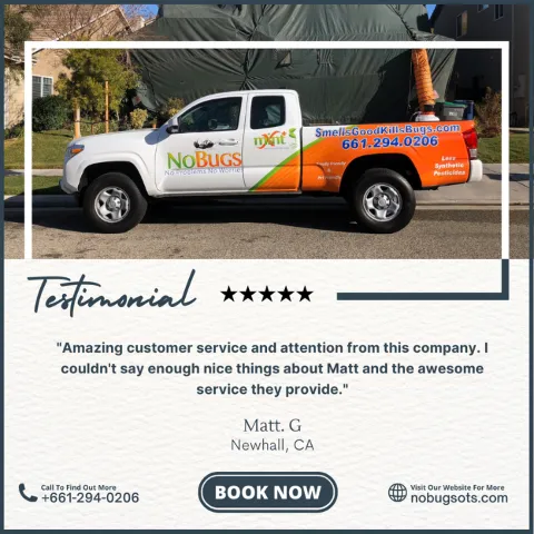 No Bugs Termite and Pest Control Inc. photo 1