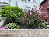 Corner To Corner Landscaping photo 4