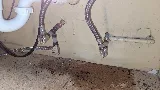 Plumbing Masters LLC photo 5