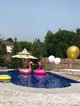 Perciballi Pools & Spas photo 3