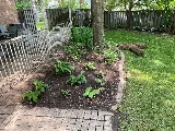 Oville Landscaping photo 4