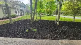 Francisco's Landscaping photo 3
