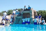 Clean Living Pool and Spa, LLC