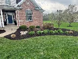 All Seasons Landscaping photo 2