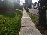 Excellent Landscaping Llc photo 8