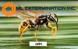 ML EXTERMINATION INC. photo 7