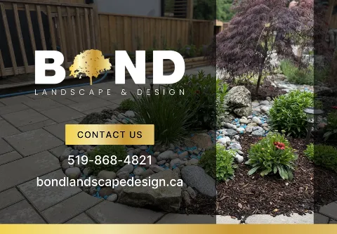 Bond Landscape & Design - London photo 1