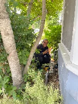 Ronin Pest Control photo 8