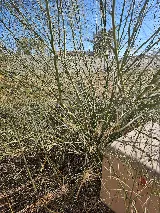 Enterprise Pest & Weed Services photo 7