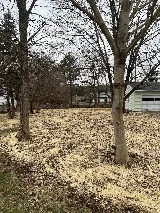 Frascatore Landscaping LLC photo 8