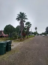 Laredo's Best Landscapers photo 4