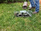 307 Pest, LLC photo 3