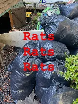 We Care Pest Solutions photo 5