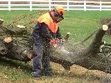 Signature Landscaping & Property Maintenance LLC photo 8