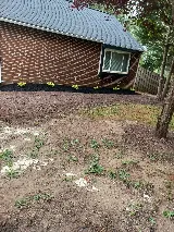 M. Escobar Landscaping photo 6