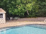 Campos Brothers Landscaping, LLC photo 7