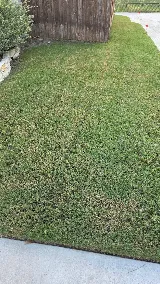 Lawn Tech photo 4