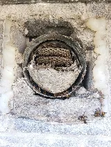 Home-Tite Pest Control & Proofing photo 8