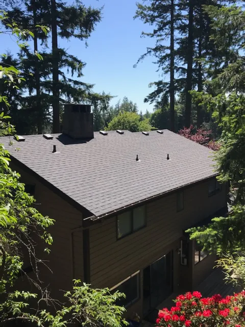 3 King's Roofing and Renovations Inc. photo 1