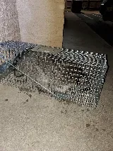Pristine Pest Control LLC photo 6