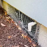 Campbell Natural Pest Control photo 2