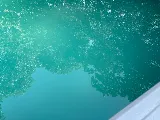 Clear Water Pools and Spas Inc photo 3