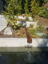 Pacific Landscaping, Inc. photo 7