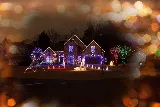 JC's Landscaping LLC photo 2
