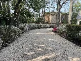 Absolute Lawn Care and Landscaping