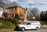 Go-Forth Pest Control photo 3