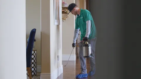 HomeShield Pest Control photo 1